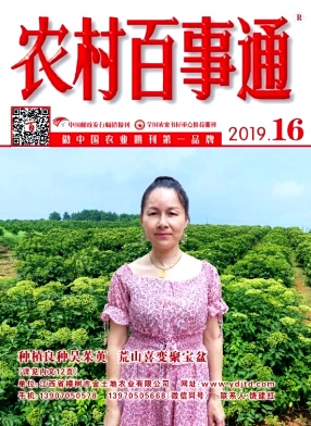农村百事通